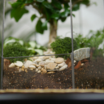 Флорариум бонсай Хижина