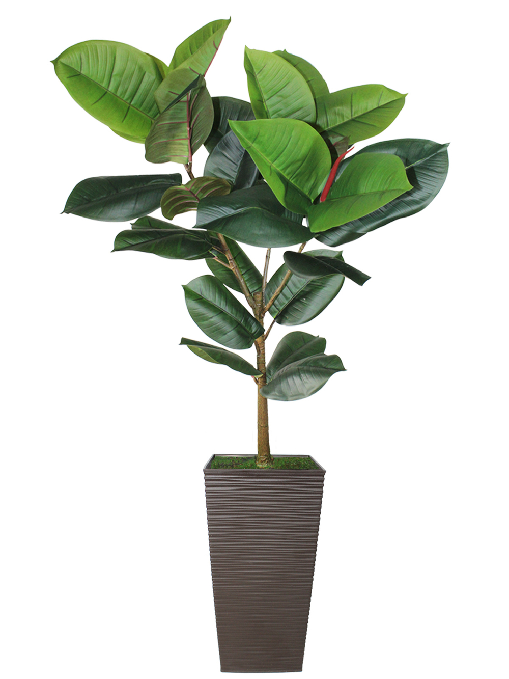Искусственное растение Фикус каучуконосный 120 см в высоком коричневом кашпо 36 см