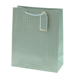 GAEM Пакет подарочный M (бумага 210г/м2, блок 12шт), L26 W12 H32 см, 14в.