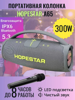 Портативная колонка HOPESTAR A65 300 Вт