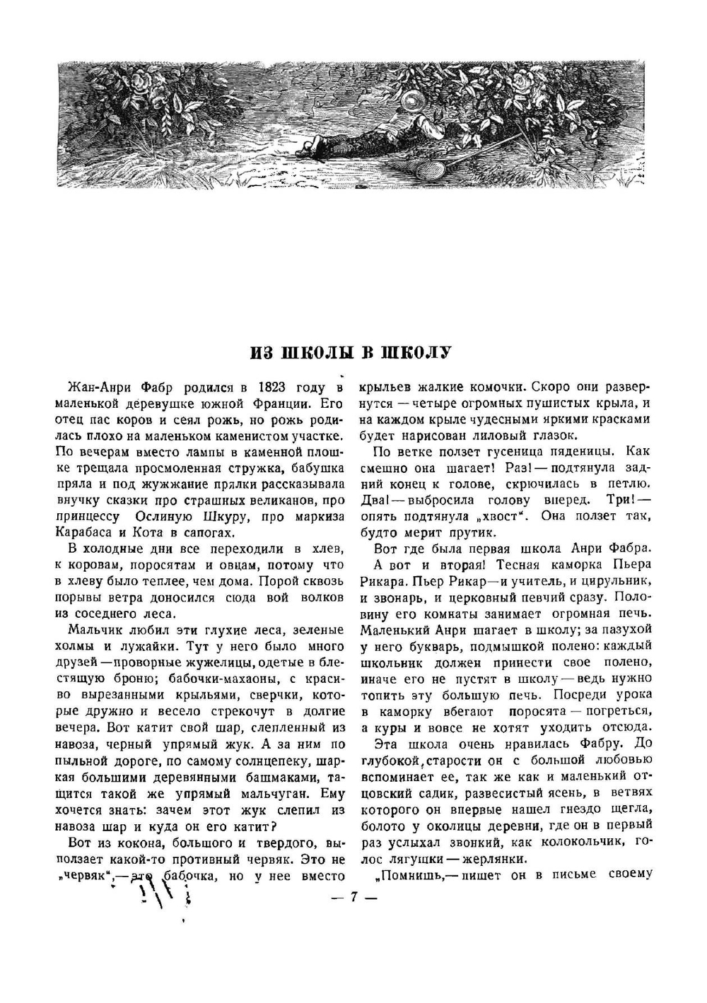 Жизнь насекомых | Фабр Жан Анри