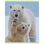 Тетрадь А5, 48 л., HATBER-ECO, скоба, офсет №2 ЭКОНОМ, клетка, обложка картон, "Авто", 48Т5D1