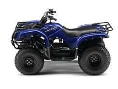 Квадроцикл GRIZZLY 125