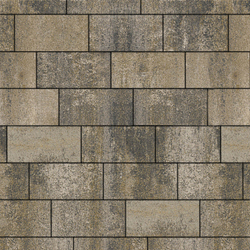 Тротуарная плитка ПРЯМОУГОЛЬНИК 300х150 мм - Искусственный камень Базальт