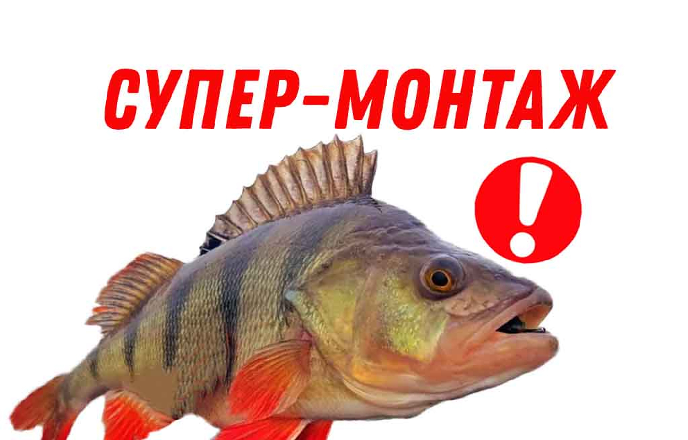 Убойная снасть на окуня - показываю монтаж