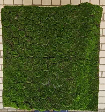 Искусственный ковер с кочками / Арт 9029