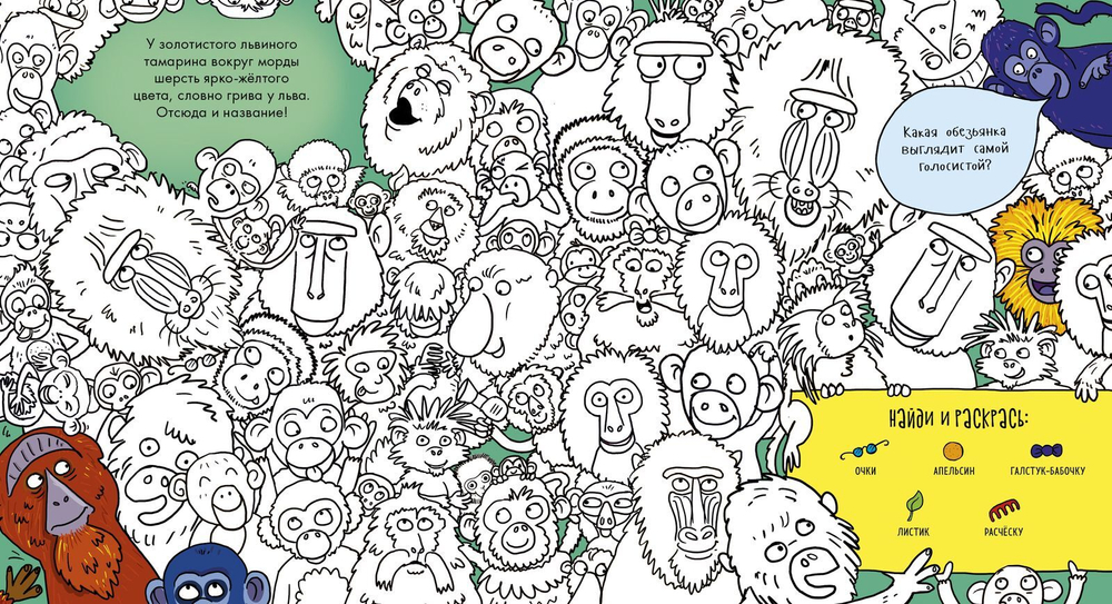 Найди и раскрась. Джунгли