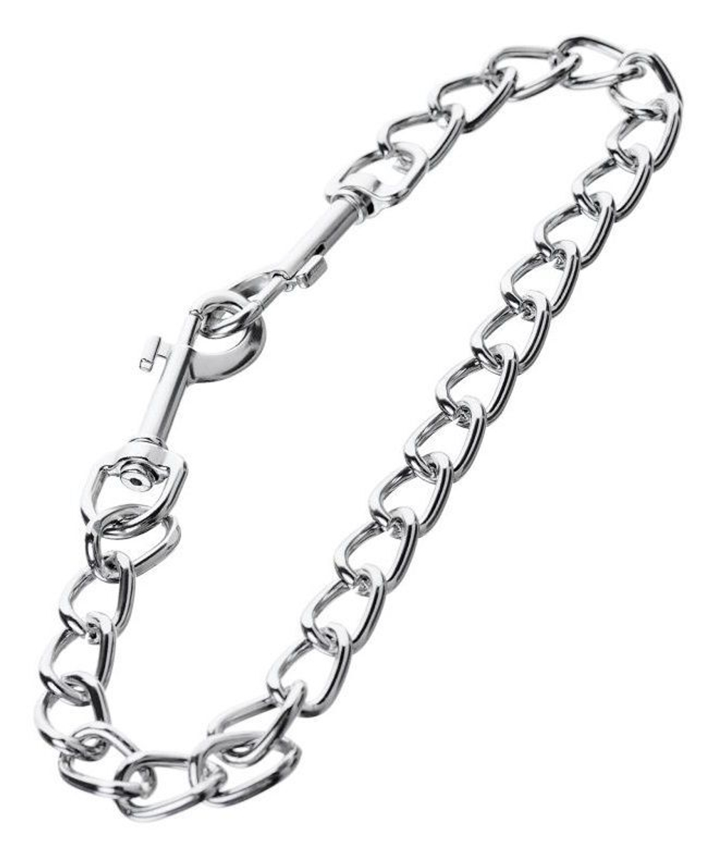 Серебристая соединительная цепочка с двумя карабинами (Цвет: серебристый)