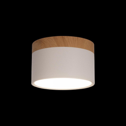 Накладной светильник Loft it 10162 White
