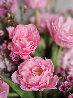 Букет № 57 с тюльпанами,гиацинтами