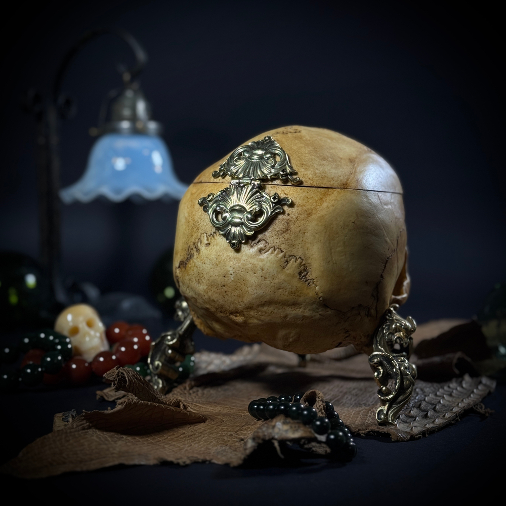 Шкатулка «Headcrab»