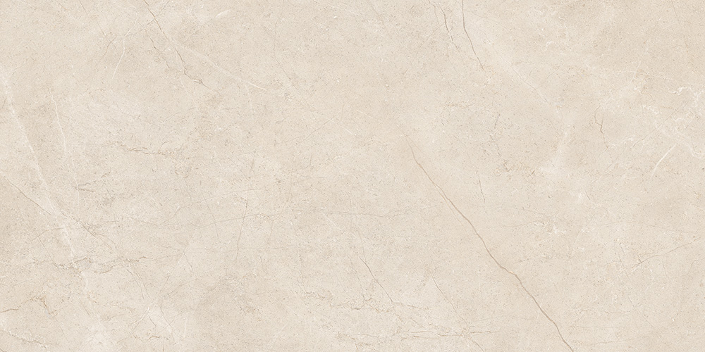 60x120 MoonLight Греж Матовый R10A Ректификат