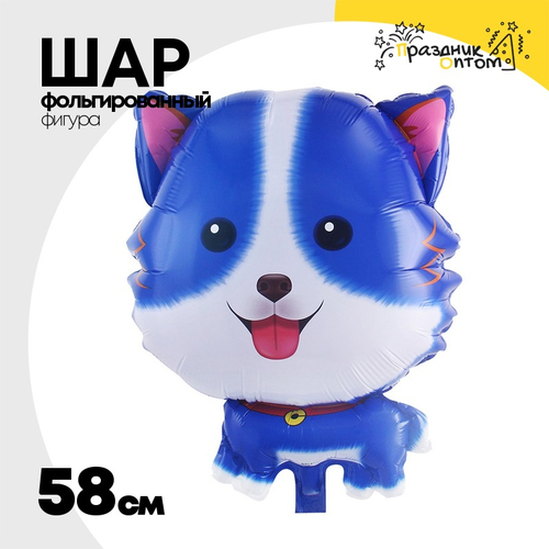 Шар Фольгированный Собака Корги синяя (Синий)