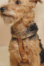 Шлейка "Пони-Макарони" Рыжая (бежевый канат)