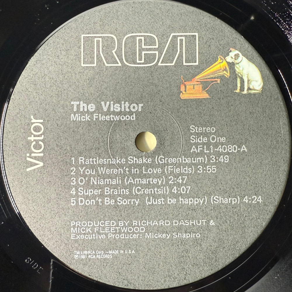 Виниловая пластинка Mick Fleetwood ‎– The Visitor LP