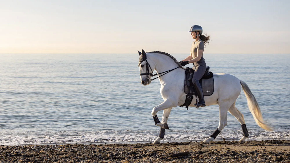 Вальтрап выездковый LeMieux Earth Dressage Square Moss