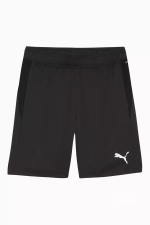 Шорты Puma teamGOAL Training