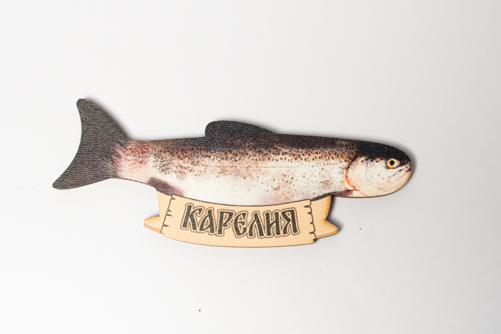 Деревянные магниты «Рыбы Карелии»