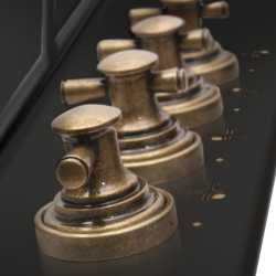 Газовая панель Hansa BHGA620390