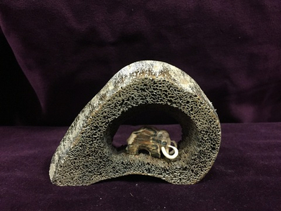 Мамонт в пещере