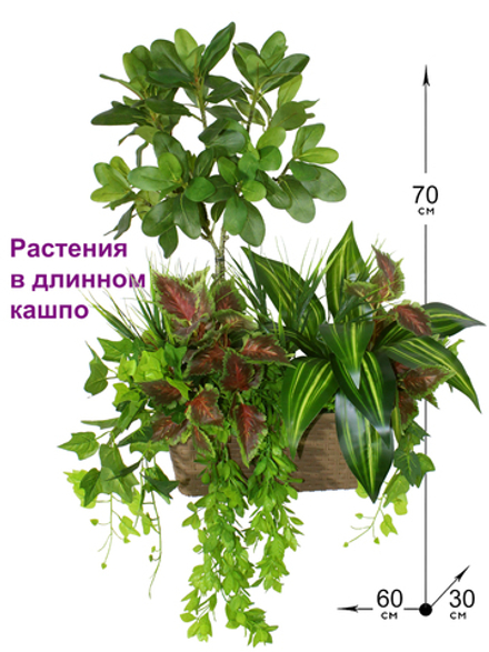 Искусственные растения латекс в длинном кашпо