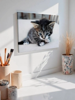 Картина на стену 40 X 50 Котенок