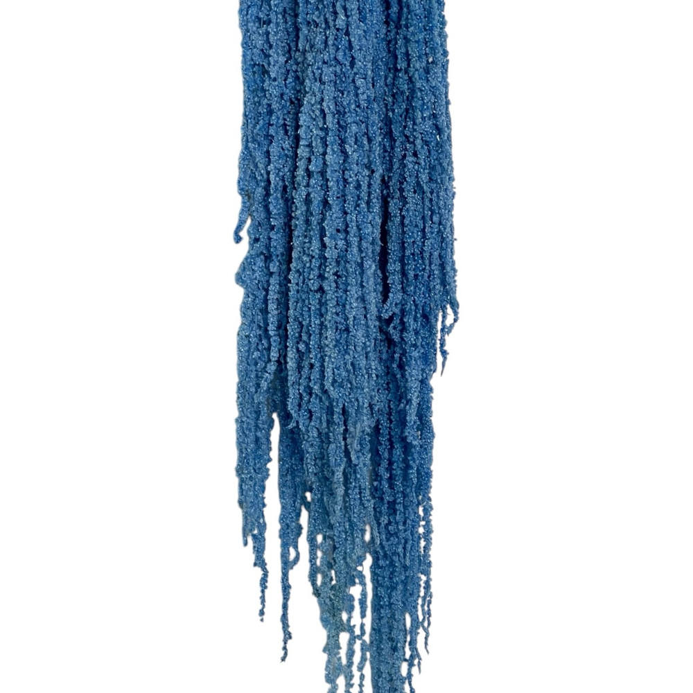 Амарант голубой