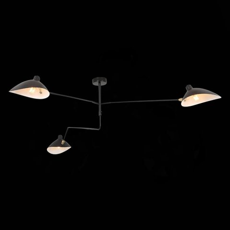 Люстра потолочная ST Luce Spruzzo SL305.402.03