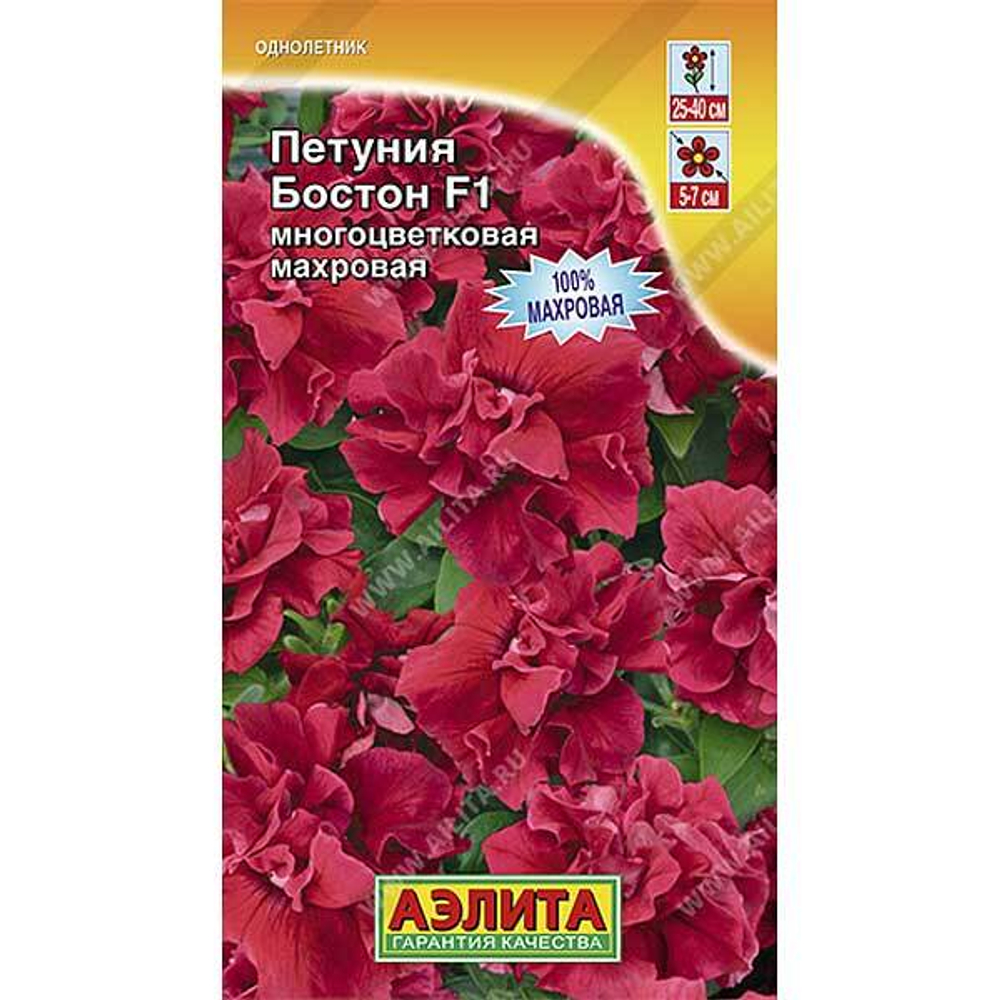 Петуния Бостон махр. Аэлита Ц