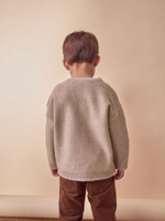 Джемпер для мальчика Next K82-477, Бежевый