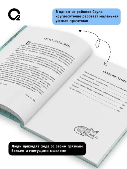 Прачечная, стирающая печали