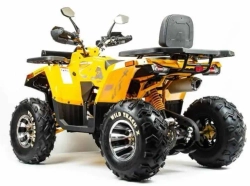 Квадроцикл Motoland 200 WILD TRACK X PRO (баланс. вал)