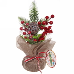 Хвойная композиция «Красочное Рождество» 25*10 см
