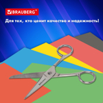Ножницы цельнометаллические BRAUBERG "Professional" 150 мм классической формы (2 штуки в упаковке)