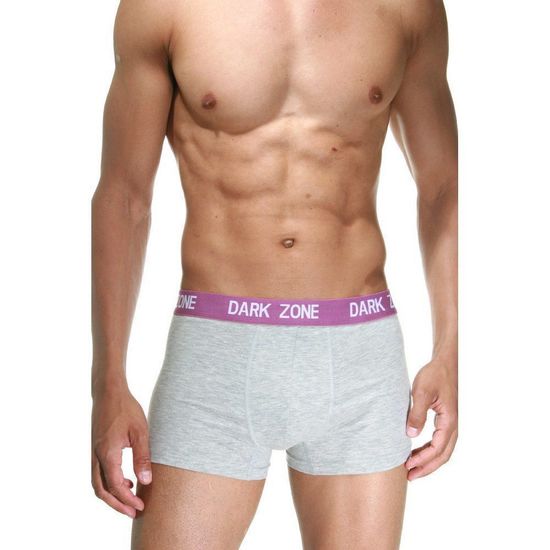 Трусы мужские боксеры светло-серые DARKZONE DZN2216