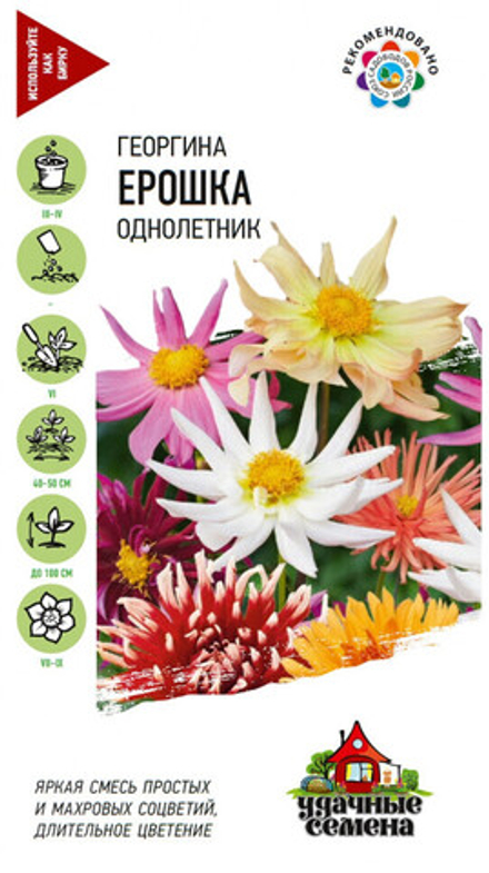 Георгина Ерошка
