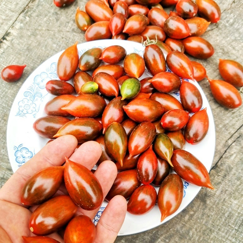 Помидоры Тигровая Зебра - Tiger zebra Tomato