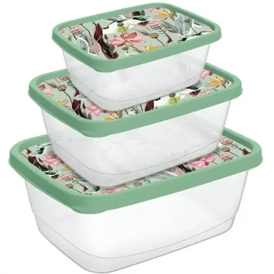 Набор контейнеров для продуктов 3шт (0,5л+0,85л+1,5л) «Botanica» с декором зеленый