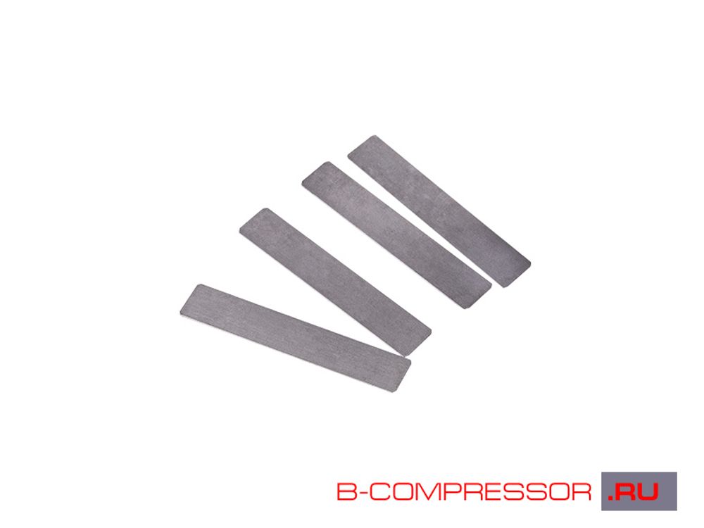 Комплект клапанных пластин С415М