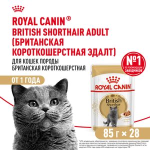 Пауч Royal Canin British Shorthair Adult для взрослых британских короткошерстных кошек, мелкие кусочки в соусе