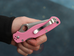 Нож Spyderco Paramilitary 2 PNK Подшипники RK-334