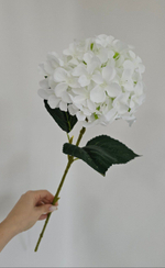 Гортензия / Арт 2095