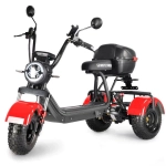 Электротрицикл WHITE SIBERIA TRIKE MINI 1500W