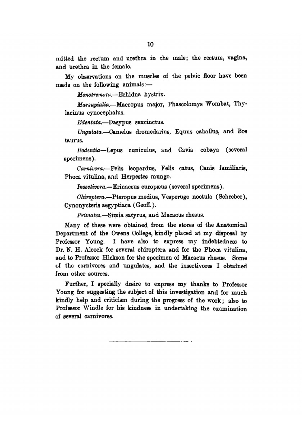 The myology of the pelvic floor. A contribution to human and comparative anatomy | Peter Thompson