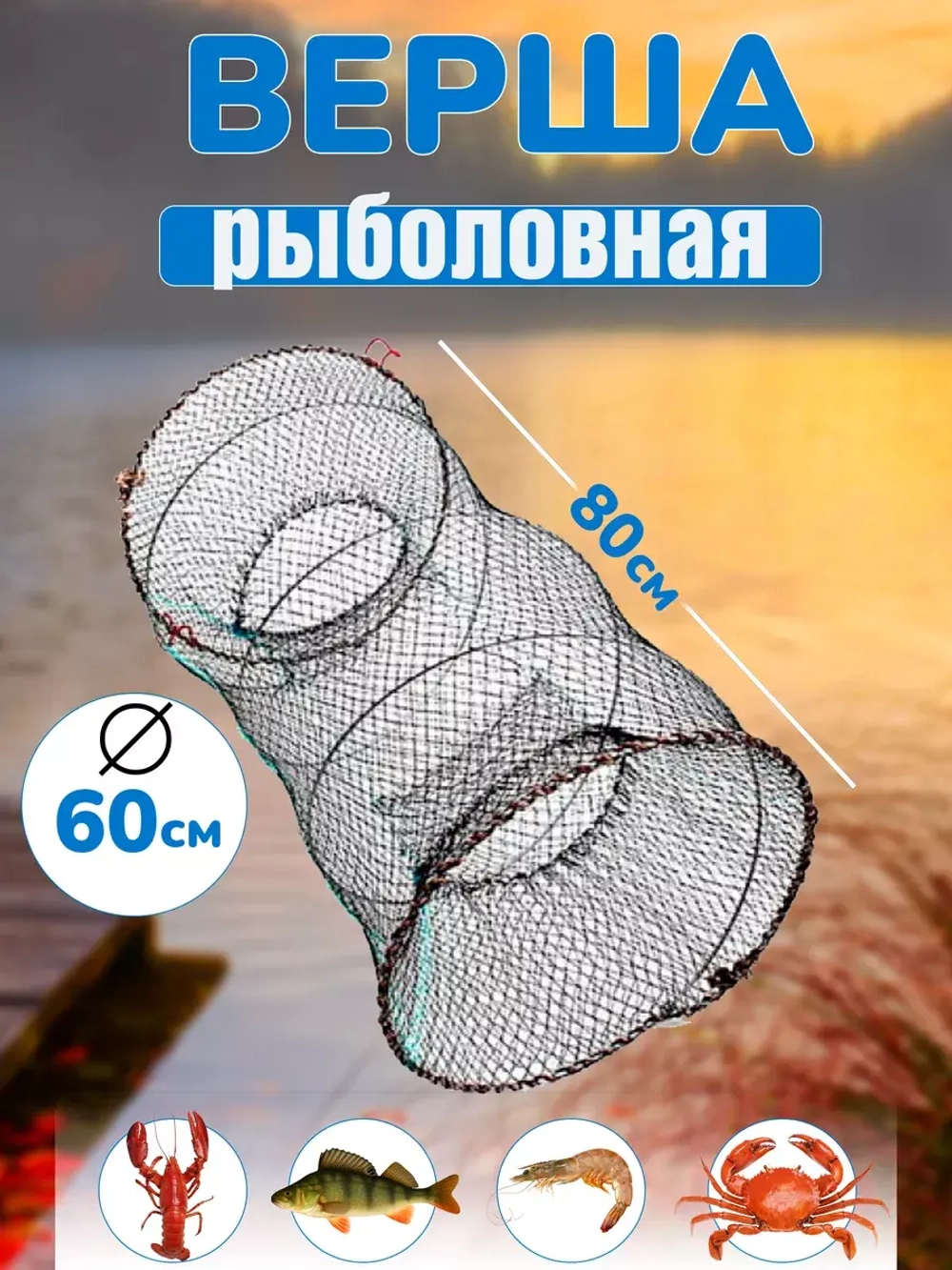 Морда 60см