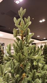 Искусственная ель на ножке «Датская» (Литая хвоя) высота от 1.2 м до 2.4 м