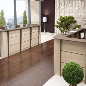 Стойка ресепшн Дэмир