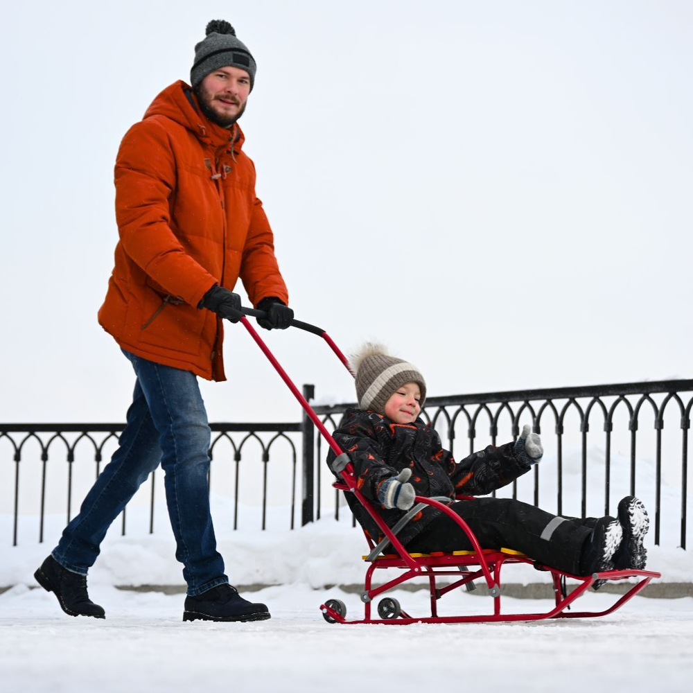 Санки детские «Nikki 3» алый (арт. N3/АЛ2)