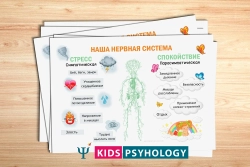 Демонстрационный материал "Наша нервная система"