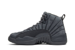 Кроссовки Jordan Air Jordan 12 Retro Psny